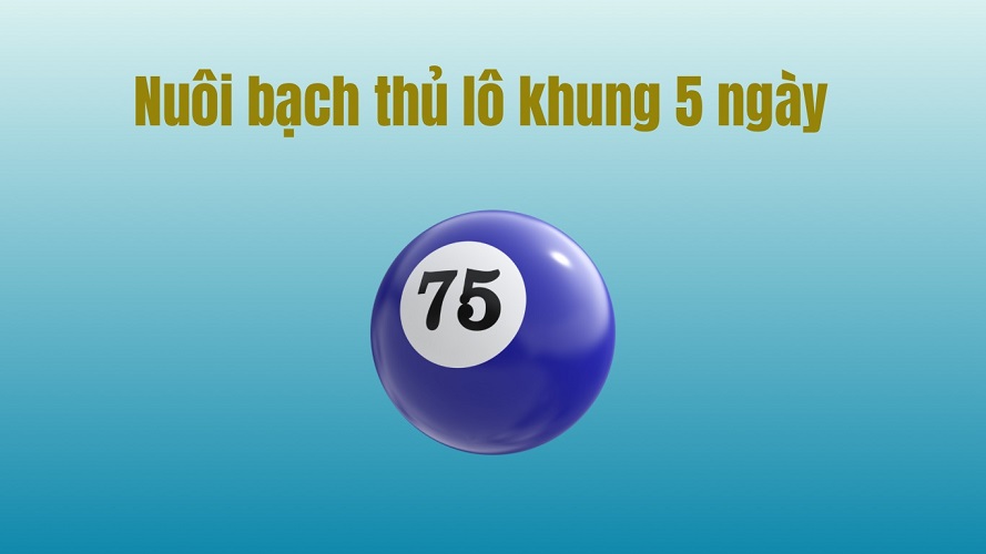 Các phương pháp bắt lô bạch thủ khung 5 ngày hiệu quả