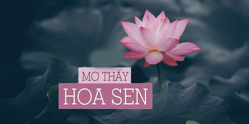 Chiêm bao thấy hoa sen đánh con gì – Phân tích giấc mơ lô đề