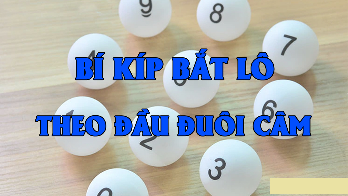 Kinh nghiệm từ các cao thủ soi cầu lô câm
