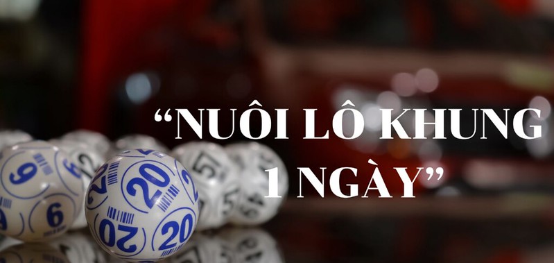 Nuôi lô khung là gì?