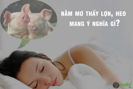 Mơ thấy lợn trắng đánh con gì?