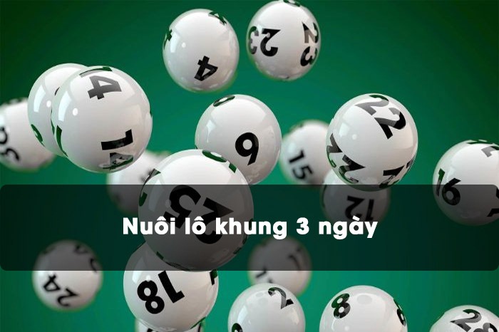 Nuôi đề đầu đuôi khung 3 ngày là gì?