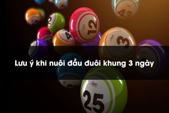 Đánh đề đầu đuôi nuôi khung có ưu nhược điểm gì?